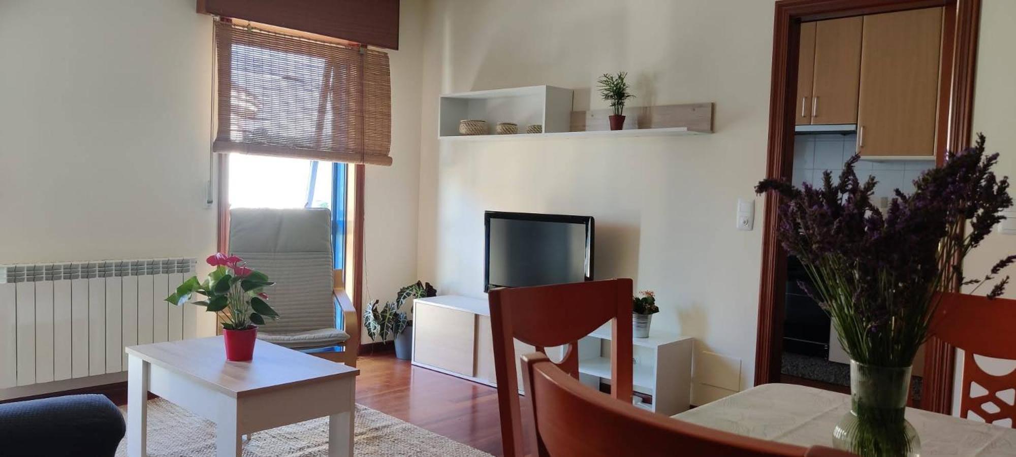 Апартаменты Piso Plaza 10 Амес Экстерьер фото